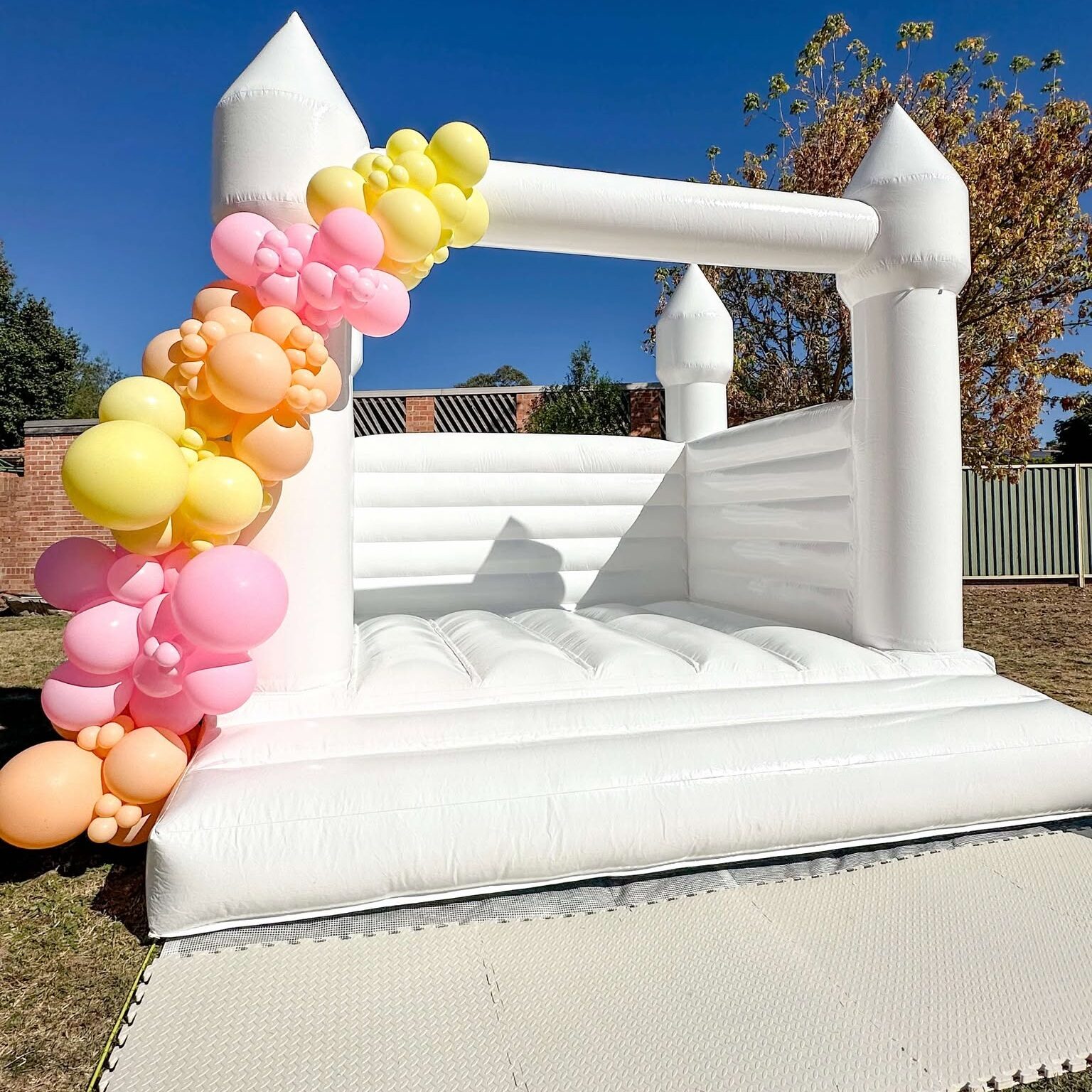 494338612_1146381517176650_2068509661045435249_n